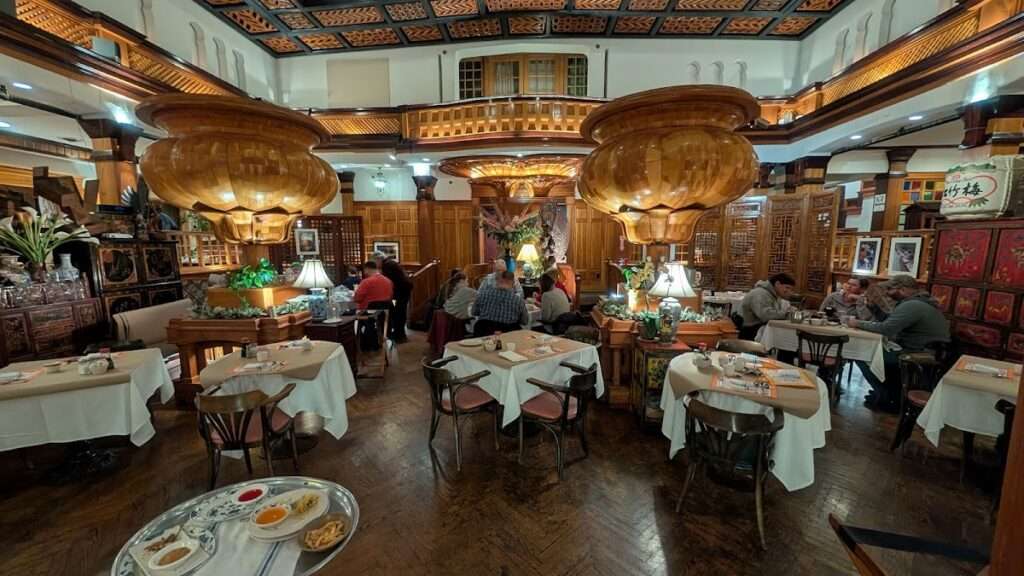 Plum Blossom photo 4